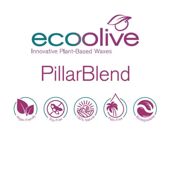 Cera Ecoolive pb per stampi