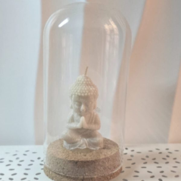 vaso cloche