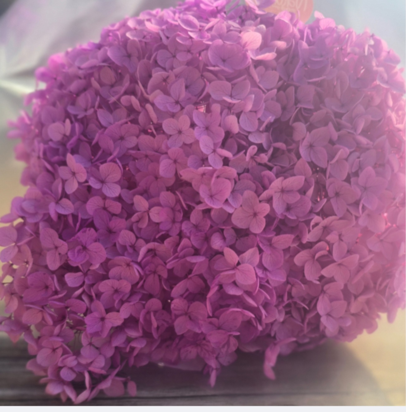 Screenshot_20251019_225128_Canva