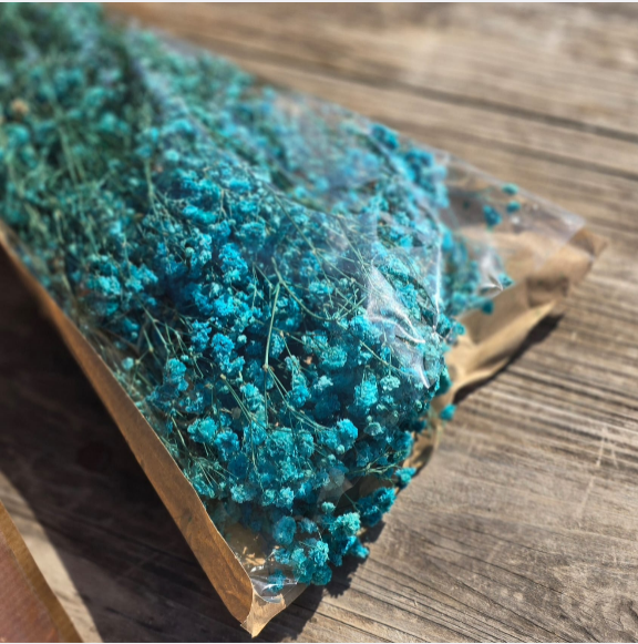 Gypsofila CELESTE