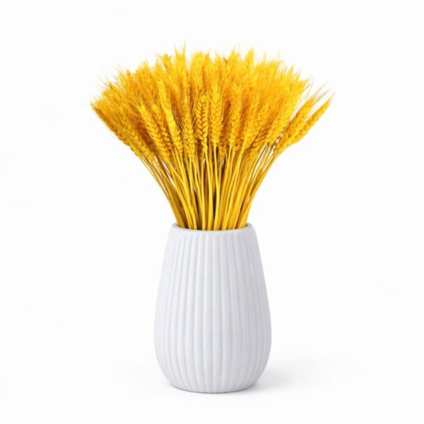 Spighe di grano color Giallo