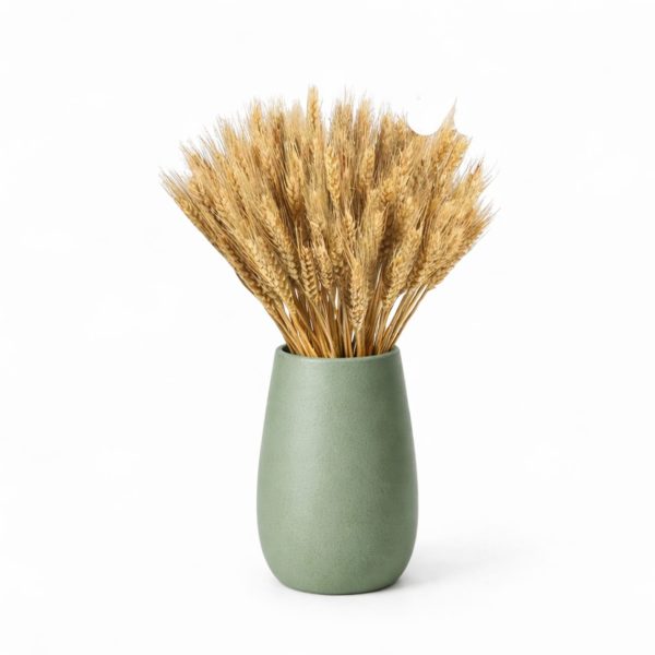 Spighe di grano naturale
