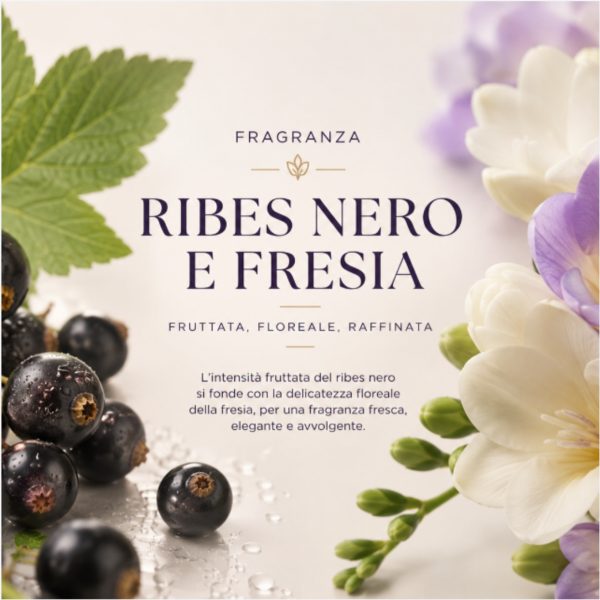 RIBES NERO E FRESIA