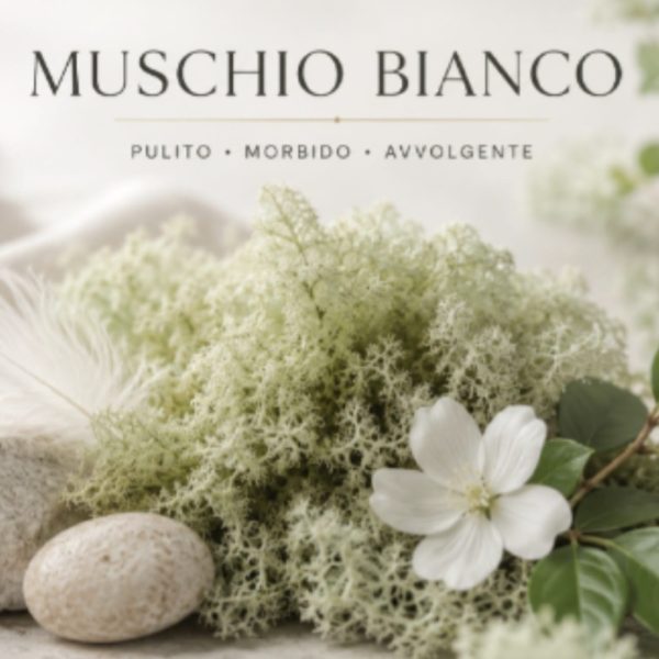 muschio bianco 1%