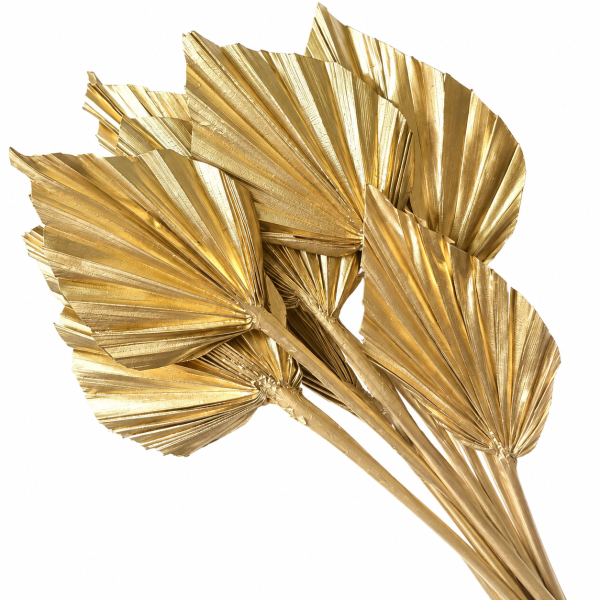 Foglie di palma dorate decorative – elemento floreale per composizioni