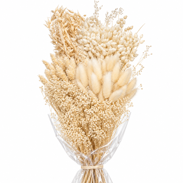Mazzo per bouquet di fiori secchi misti beige