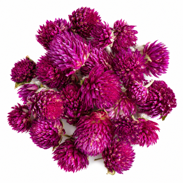 Fiori di amaranto secchi